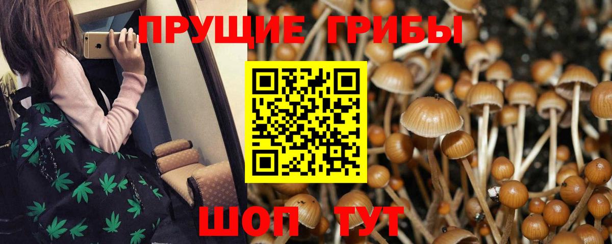 Псилоцибиновые грибы Magic Shrooms Лангепас